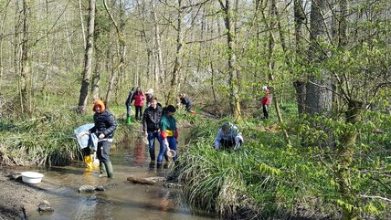 2019-04-12-Fliessgewaesser-2